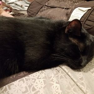 Meet your Posher, Angela